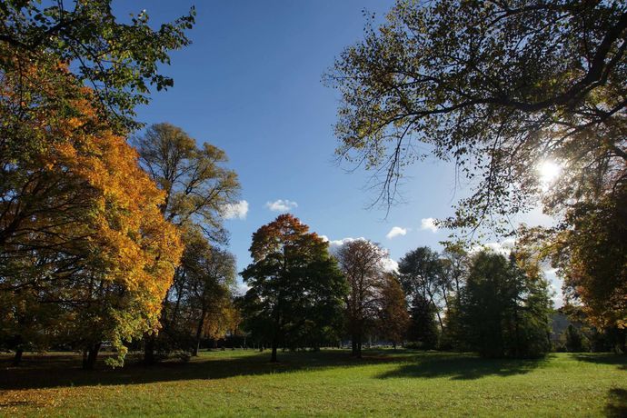Imagen de los exteriores del Hotel Landhaus Bode. Foto 14