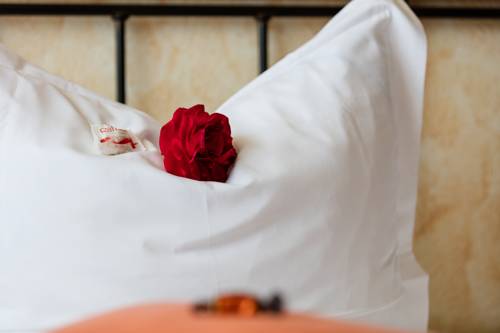 Imagen de la habitación del Hotel Landhaus Haffkrug. Foto 2