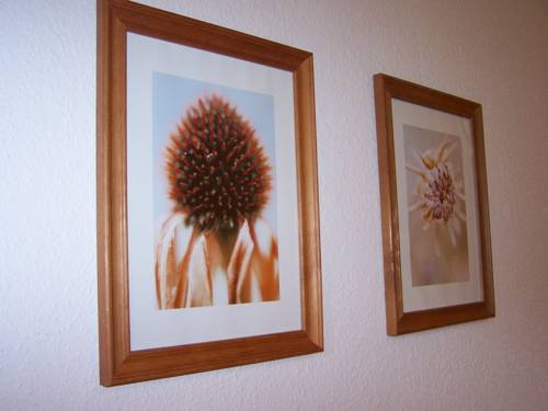 Imagen de la habitación del Hotel Landhaus Lieb'lommerke. Foto 13