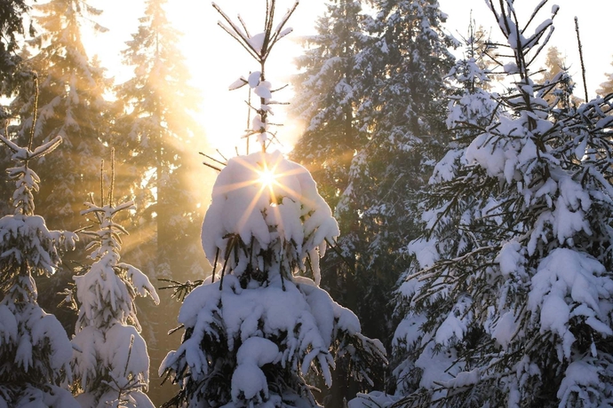 Imagen general del Hotel Landhaus Pension Vo&szlig;. Foto 2