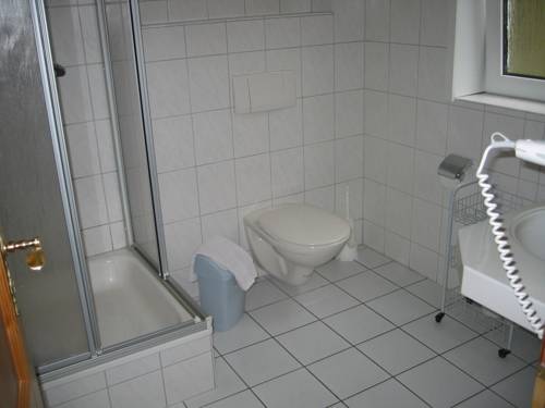 Imagen de la habitación del Hotel Landhotel Alte Aue. Foto 8