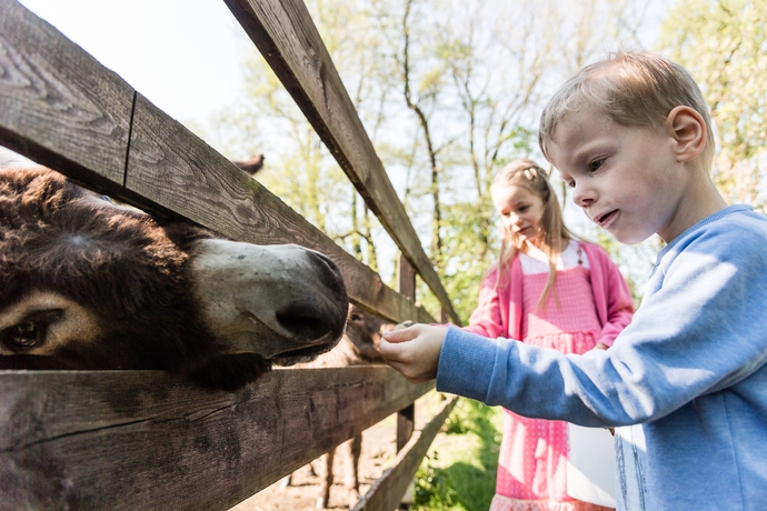 Imagen de los exteriores del Hotel Landhotel Burg Im Spreewald. Foto 14