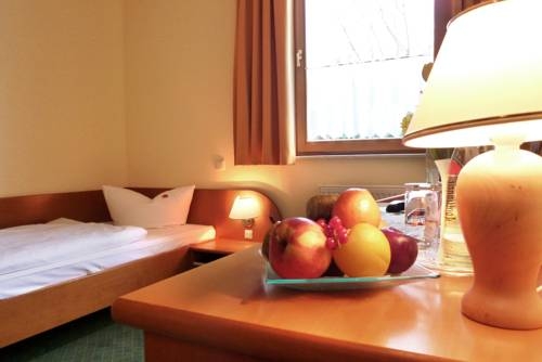 Imagen general del Hotel Landhotel Dresden. Foto 2