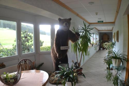 Imagen general del Hotel Landhotel Gasthof W&uuml;llner. Foto 9