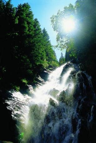 Imagen general del Hotel Landhotel Gut Sonnberghof. Foto 14