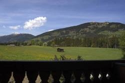 Imagen general del Hotel Landhotel Gut Sonnberghof. Foto 30