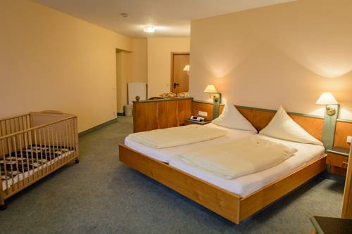 Imagen de la habitación del Hotel Landhotel Henkenhof Willingen. Foto 8