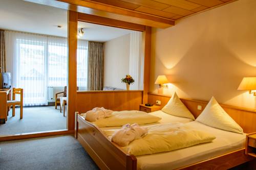 Imagen de la habitación del Hotel Landhotel Henkenhof Willingen. Foto 10
