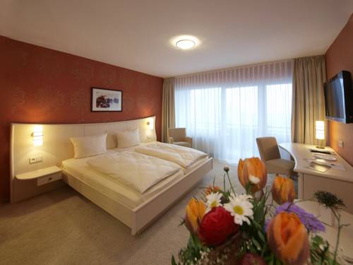 Imagen de la habitación del Hotel Landhotel Henkenhof Willingen. Foto 14