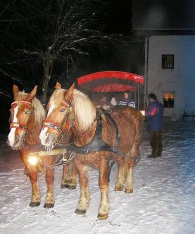 Imagen general del Hotel Landhotel Hubertushof. Foto 19