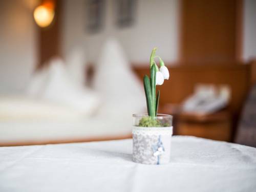 Imagen de la habitación del Hotel Landhotel J&auml;ger. Foto 3