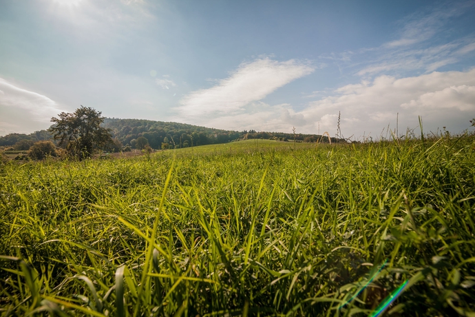 Imagen de los exteriores del Hotel Landhotel Kauzenberg. Foto 11