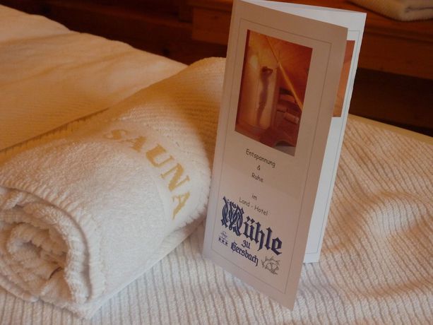 Imagen general del Hotel Landhotel M&Uuml;HLE zu Gersbach. Foto 3