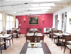 Imagen general del Hotel Landhotel Maximilian. Foto 6