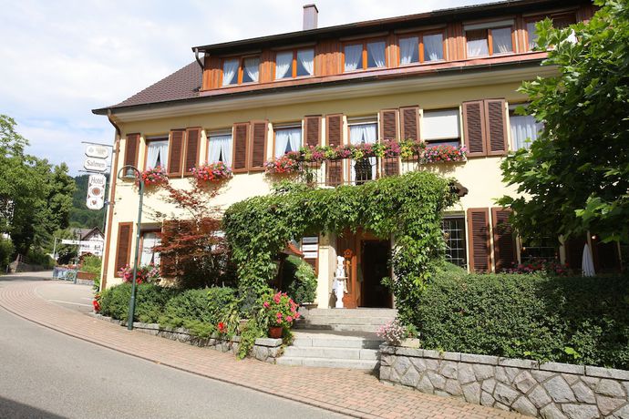Imagen general del Hotel Landhotel Salmen. Foto 1