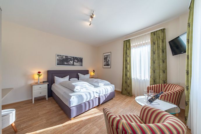 Imagen de la habitación del Hotel Landhotel Salmen. Foto 9