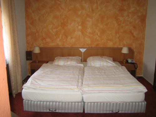 Imagen general del Hotel Landhotel Weinhaus Treis. Foto 2