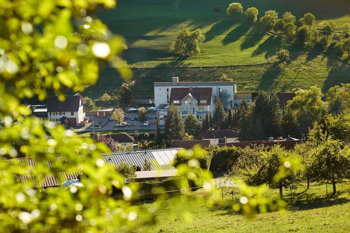 Imagen general del Hotel Landhotel Wilder Mann. Foto 1