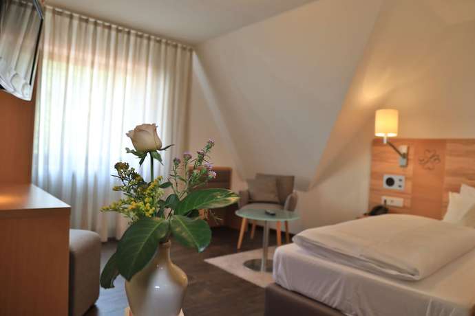 Imagen general del Hotel Landidyll Zum Alten Schloss. Foto 1