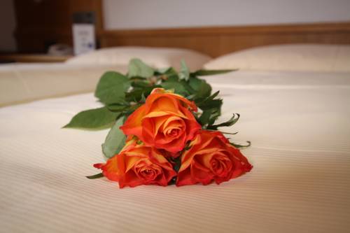 Imagen de la habitación del Hotel Landle. Foto 5