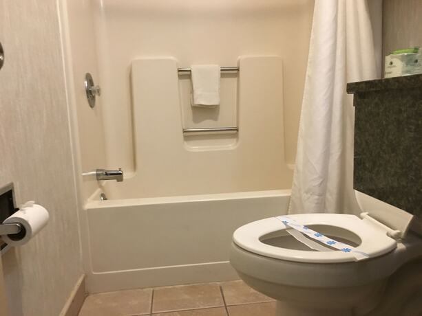 Imagen general del Hotel Landmark Motor Inn. Foto 13