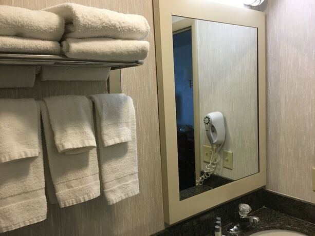 Imagen general del Hotel Landmark Motor Inn. Foto 14