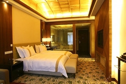 Imagen de la habitación del Hotel Landscape. Foto 4