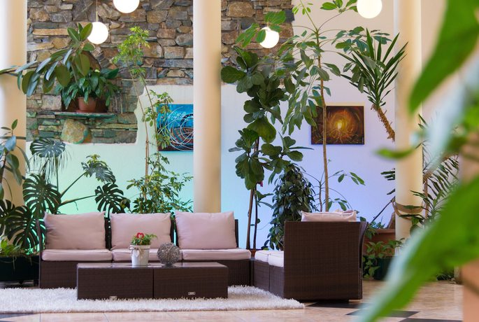 Imagen de los interiores del Hotel Landskron. Foto 18