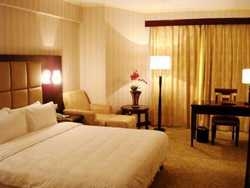 Imagen general del Hotel Landsman. Foto 2