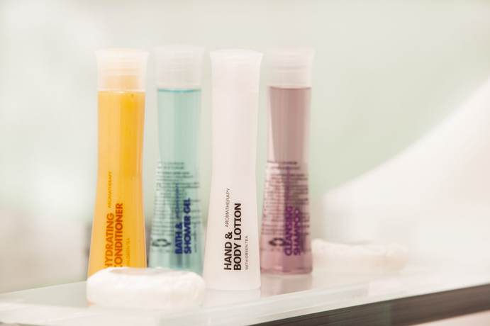 Imagen de la habitación del Hotel Lanes. Foto 11