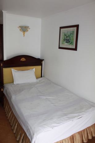 Imagen de la habitación del Hotel Langenthal. Foto 11
