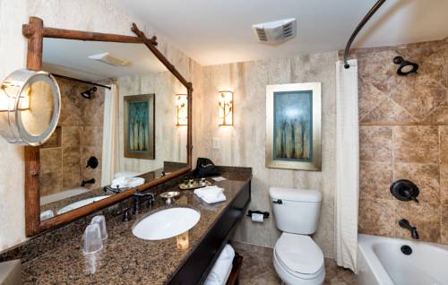 Imagen de la habitación del Hotel Lanier Islands Legacy Lodge. Foto 5