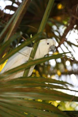 Imagen general del Hotel Lani's Holiday Island - Caravan Park. Foto 2