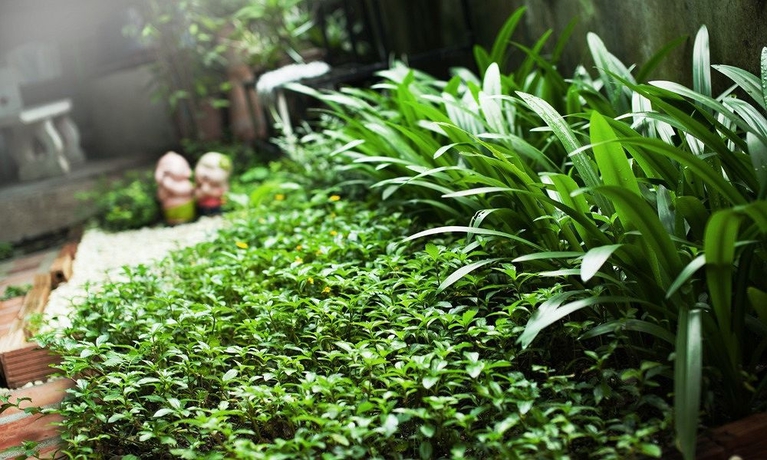 Imagen de los exteriores del Hotel Lanna Guest House. Foto 12
