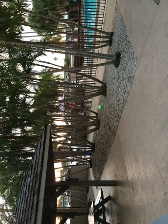 Imagen de la piscina del Hotel Lantern Inn And Suites. Foto 18