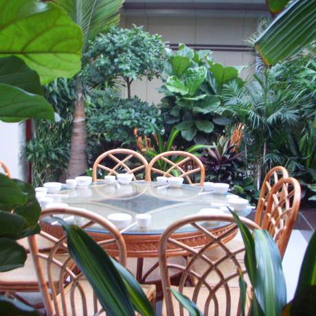 Imagen de los interiores del Hotel Lanyin. Foto 16