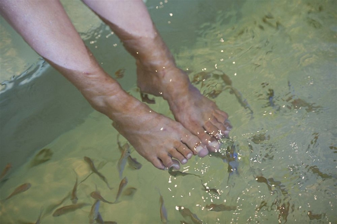 Imagen de los interiores del Hotel Lanzerac. Foto 13