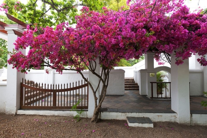 Imagen de los exteriores del Hotel Lanzerac. Foto 12