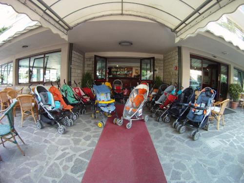 Imagen general del Hotel Lanzoni. Foto 5