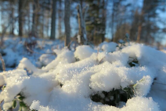 Imagen general del Hotel Lapland Getaway - Hostel. Foto 1
