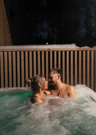 Imagen de la habitación del Hotel Lapland Glow Chalets. Foto 8