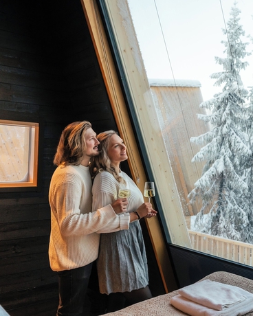 Imagen de la habitación del Hotel Lapland Glow Chalets. Foto 15