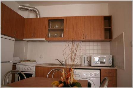 Imagen general del Hotel Laplandia. Foto 13