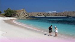 Imagen general del Hotel Laprima Hotel Komodo. Foto 6