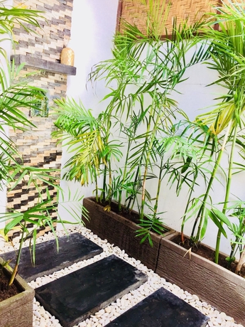 Imagen de la habitación del Hotel L'archipel, Gili Air Island. Foto 10