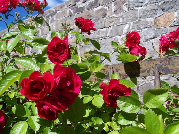 Imagen de los exteriores del Hotel Långholmen. Foto 13