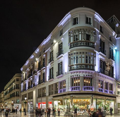 Imagen de los exteriores del Hotel Larios Málaga. Foto 12