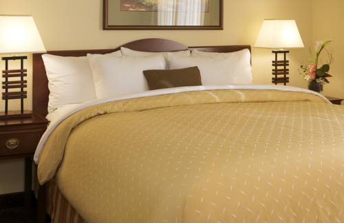 Imagen de la habitación del Hotel Larkspur Landing Bellevue - An All-suite. Foto 9