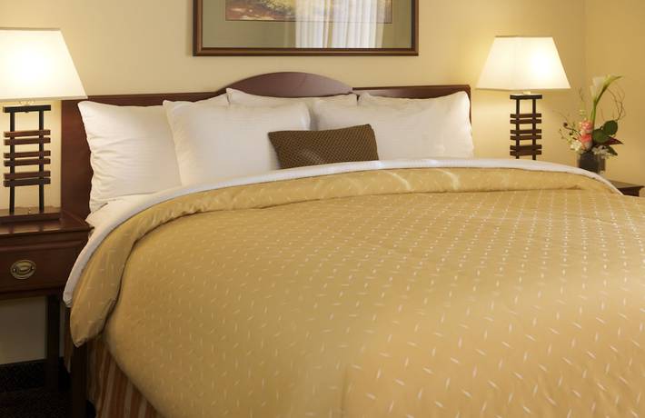 Imagen de la habitación del Hotel Larkspur Landing Sacramento - An All-suite. Foto 9