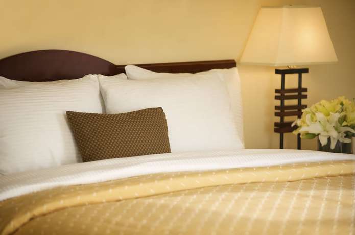 Imagen de la habitación del Hotel Larkspur Landing Sacramento - An All-suite. Foto 12